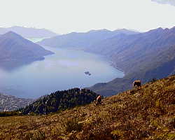 Blick vom Cardada auf den Lago Maggiore