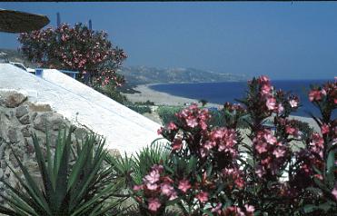 Strandlandschaft (21301 Byte)